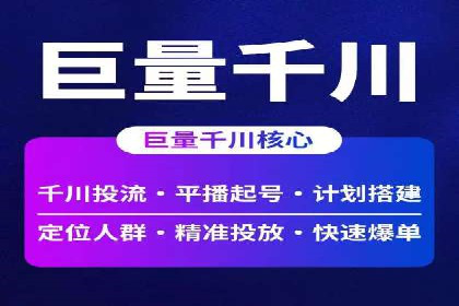 百度竞价广告投放成功案例解析